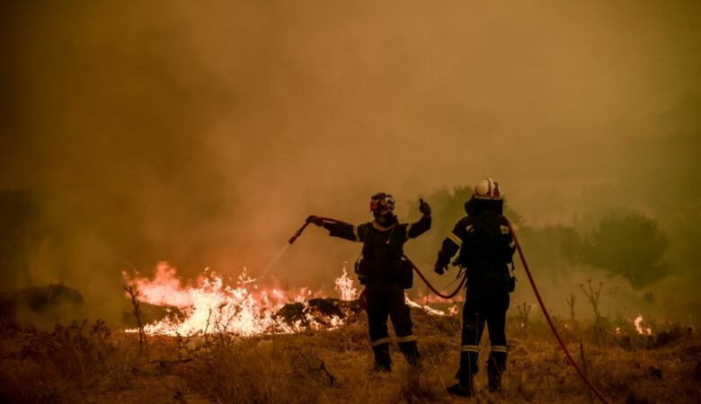 Πυρκαγιά σε εξέλιξη σε αγροτική έκταση στην Αργολίδα