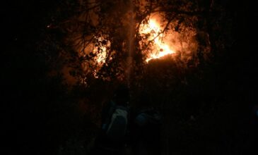 Πυρκαγιά σε δασική έκταση στην Ηλεία