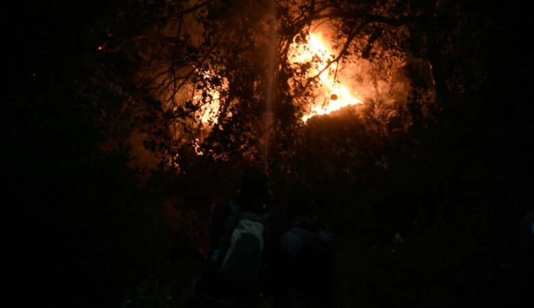 Πυρκαγιά σε δασική έκταση κοντά σε κατοικημένη περιοχή στην Εύβοια