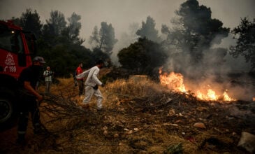Λέκκας για φωτιά στα Βίλια: Σε κατάσταση εκτάκτου ανάγκης η περιοχή για 2-3 ημέρες
