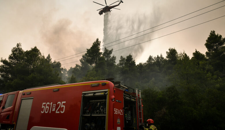 Πυρκαγιά σε αγροτοδασική έκταση στη Ροδόπη