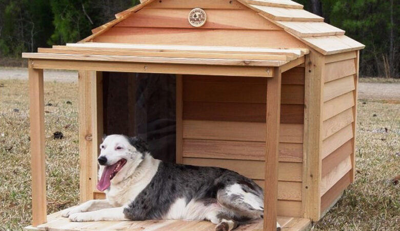 Καβάλα: Έλληνες και ξένοι εθελοντές κατασκευάζουν σπιτάκια για σκύλους από ανακυκλώσιμα υλικά