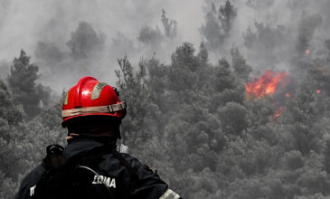 Φωτιά στα Βίλια: «Δυστυχώς δεν είναι καλά τα νέα» – Προειδοποίηση για ριπές έως και εννέα μποφόρ