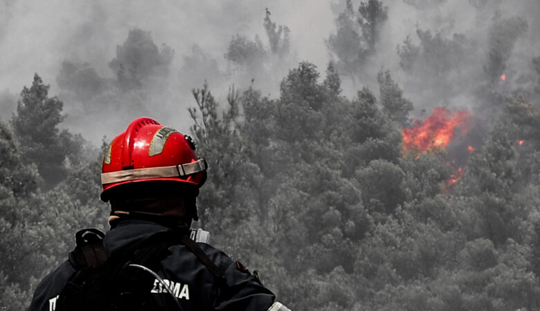 Πυρκαγιά σε αγροτοδασική έκταση στην Τρίπολη