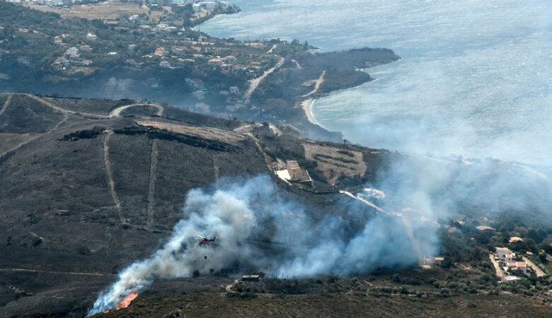 Εύβοια: Τo ένα τρίτο των δασών της έγινε στάχτη από την πρόσφατη φωτιά