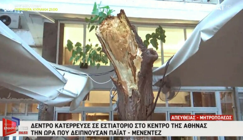 Κατέρρευσε δέντρο στο εστιατόριο που δειπνούσαν Πάιατ – Μενέντεζ