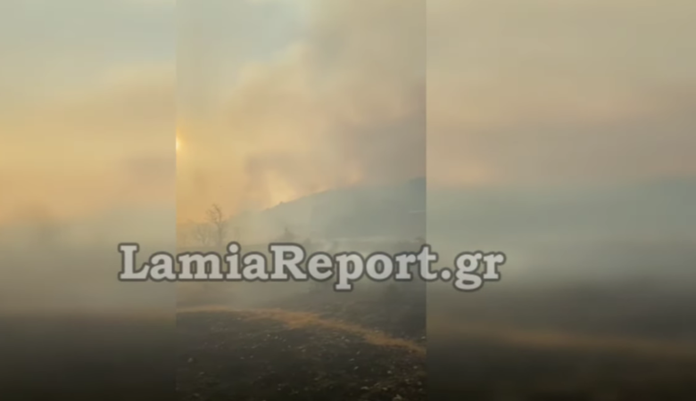 Φωτιά στην Φθιώτιδα: Οριοθετήθηκε το μέτωπο της πυρκαγιάς – Στήνονται αντιπυρικές ζώνες