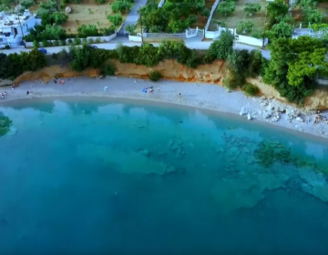 Προσήλι: Η οικογενειακή παραλία στην Αττική που έχει πάντα νερό… λάδι