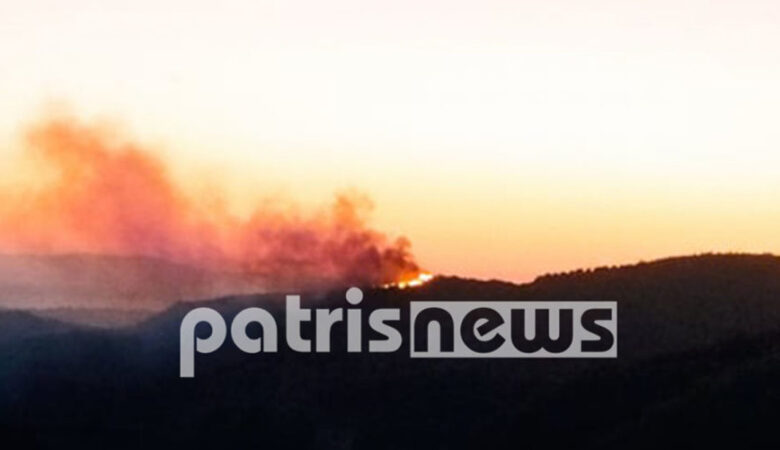 Ξέσπασε φωτιά στην Ηλεία: Στην Κορυφή προς την πλευρά της Αμαλιάδας – Δείτε εικόνες