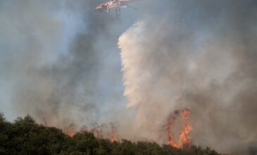 Περισσότερες από 1.000 πυρκαγιές την τελευταία εβδομάδα στη χώρα – Σε ύφεση η πυρκαγιά στη Μεσσηνία