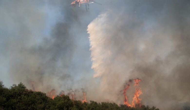 Εθνικό Αστεροσκοπείο: Οι πρόσφατες πυρκαγιές έκαψαν το 16% των δασών της Αττικής