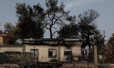 Πληρωμές της κρατικής αρωγής σε 422 πληγέντες από τις πυρκαγιές