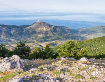 Ο μοναδικός δρυμός του Αίνου που σε αφήνει άφωνο