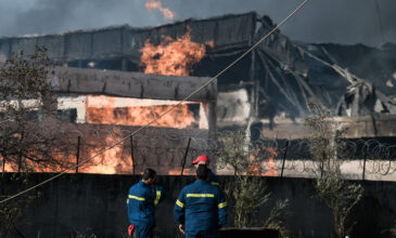 Εικόνες από τη μεγάλη φωτιά σε εργοστάσιο στον Ασπρόπυργο: Οι φλόγες ξεπέρασαν τα 15 μέτρα