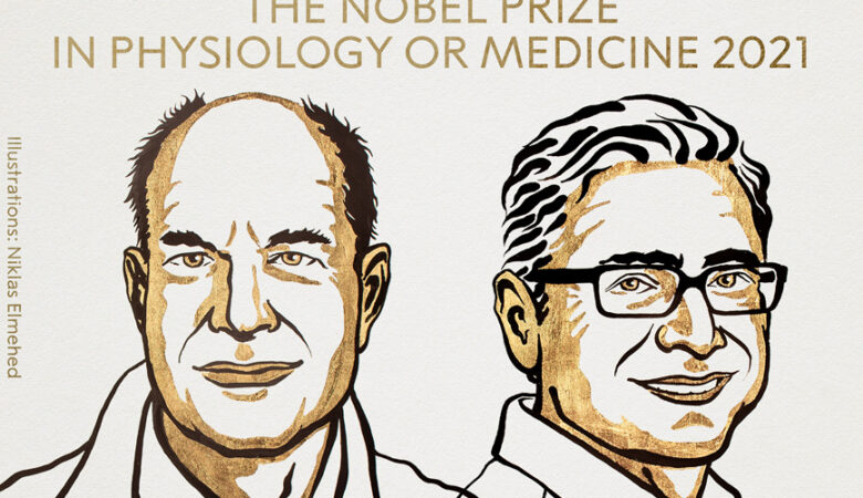 Οι Αμερικανοί Ντέιβιντ Τζούλιους και Αρντέμ Παταπουτιάν τιμήθηκαν με το βραβείο Νόμπελ Ιατρικής 2021