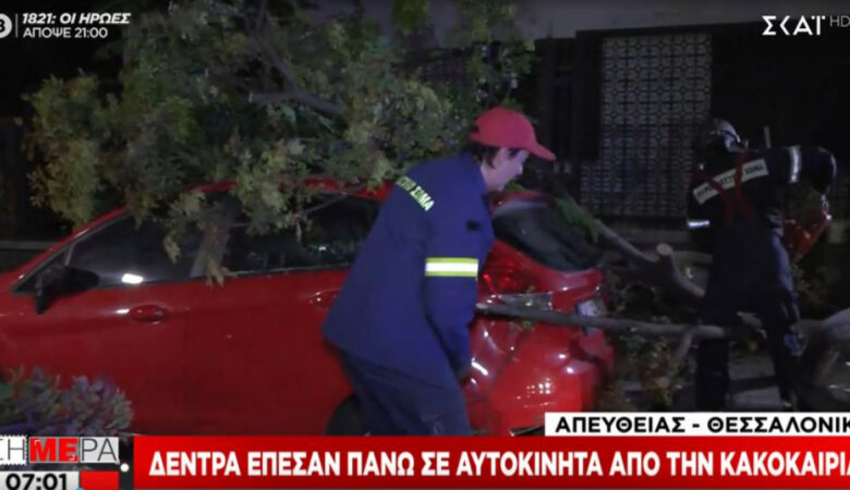 Κακοκαιρία «Αθηνά»: Δέντρα «πλάκωσαν» αυτοκίνητα στη Θεσσαλονίκη