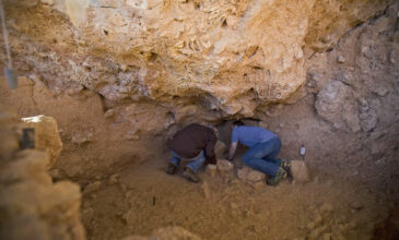 Homo bodoensis: Ανακαλύφθηκε νέος πρόγονος του ανθρώπου, ζούσε πριν 500.000 χρόνια