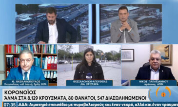 Βασιλακόπουλος: Χρειαζόμαστε τουλάχιστον 4 μήνες ακόμα για το «τείχος ανοσίας»