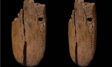Βρέθηκε το αρχαιότερο κρεμαστό στολίδι στην Ευρώπη, ηλικίας 41.500 ετών
