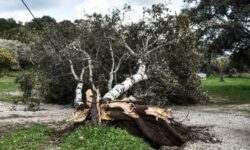 Προβλήματα από την κακοκαιρία στην Ήπειρο