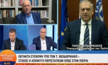 Θεοδωρικάκος για «Θεματοφύλακες Συντάγματος»: Υπάρχουν «πυρήνες» σε όλη την Ελλάδα