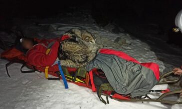 Σκύλος «φύλακας άγγελος»: Έσωσε ορειβάτη κρατώντας τον ζεστό με το σώμα του για 13 ώρες