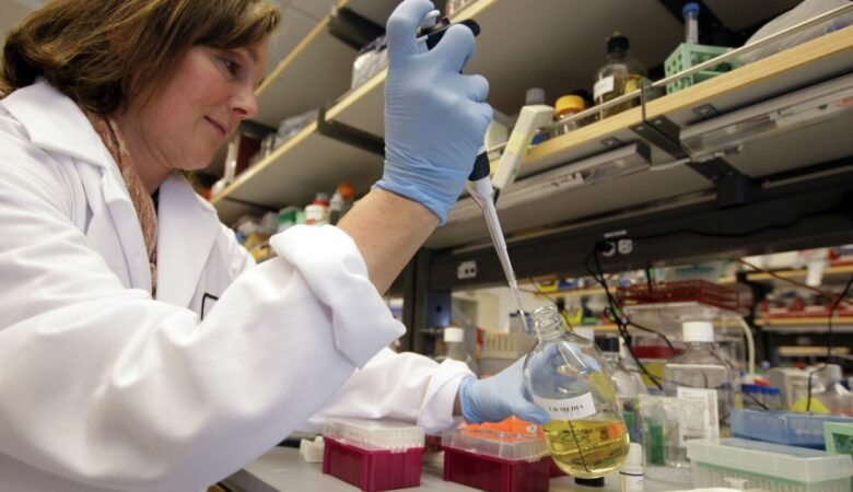 Έλληνες ερευνητές από το ΙΤΕ, το ΕΚΠΑ και το Πανεπιστήμιο Harvard ανακάλυψαν σημαντικά στοιχεία για τα βλαστικά κύτταρα του εντέρου