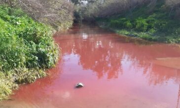 Ηράκλειο: Κόκκινο βάφτηκε το νερό στον Γεροπόταμο