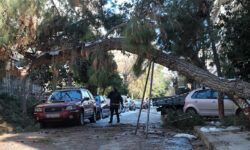 Κακοκαιρία Ελπίδα: Αποζημιώσεις για ζημιές αυτοκινήτων από πτώσεις δέντρων και στον Δήμο Φιλοθέης-Ψυχικού