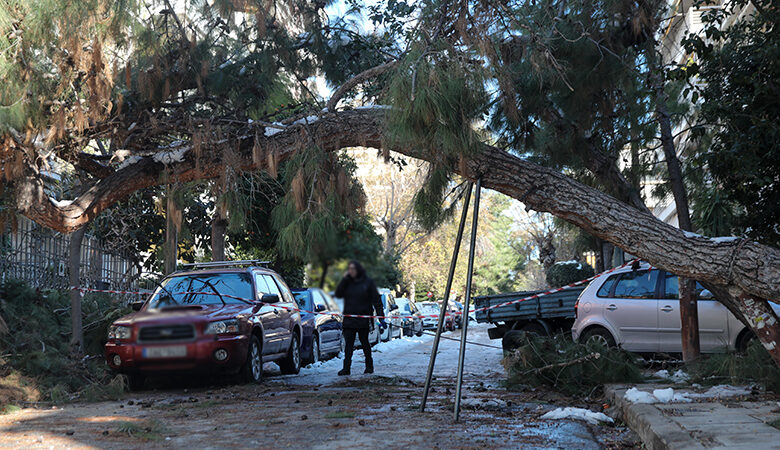 Κακοκαιρία Ελπίδα: Αποζημιώσεις οχημάτων από πτώση δέντρων στον Δήμο Αγίας Παρασκευής