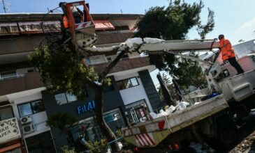 Αποζημιώσεις στον Δήμο Γλυφάδας για ζημιές αυτοκινήτων λόγω πτώσης δέντρων