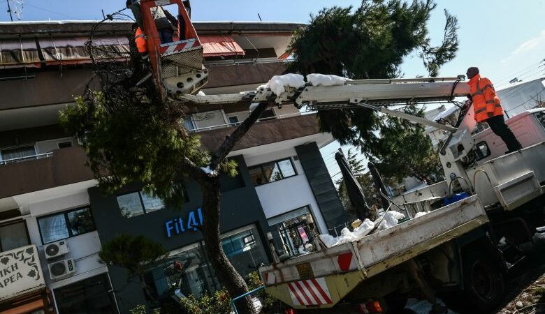 Αποζημιώσεις στον Δήμο Γλυφάδας για ζημιές αυτοκινήτων λόγω πτώσης δέντρων