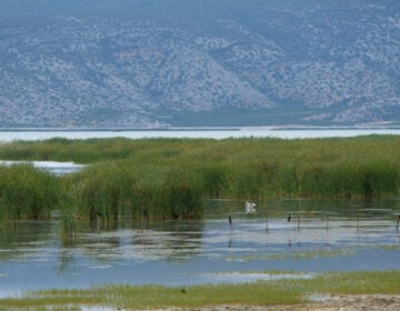 Η λίμνη της Ελλάδας που δεν την ήθελε κανείς και αναγεννήθηκε από το μηδέν