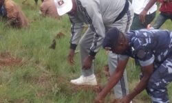 Φρίκη στο Μπουρούντι – Απήγαγαν, σκότωσαν και διαμέλισαν ένα 4χρονο αγόρι αλμπίνο