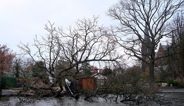 Καταιγίδα Γιούνις: Δύο νεκροί από πτώσεις δέντρων στην Ολλανδία