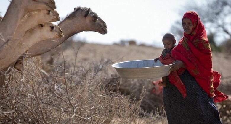 Κέρας της Αφρικής: 13 εκατομμύρια άνθρωποι στην περιοχή απειλούνται από λιμό