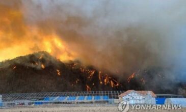 Νότια Κορέα: Ο πρόεδρος δίνει εντολή να προστατευθεί πυρηνικό εργοστάσιο από πυρκαγιά