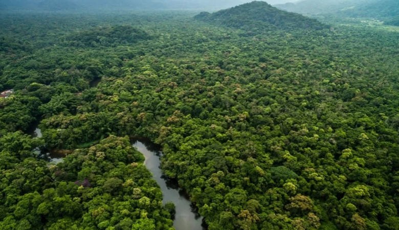 Βραζιλία: Ζωντανά βρέθηκαν δύο αγόρια που ήταν χαμένα 25 μέρες στη ζούγκλα του Αμαζονίου