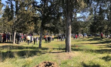 Θεσσαλονίκη: Κατέστρεψαν τα δένδρα που φύτεψαν Ουκρανοί πρόσφυγες στο δήμο Θέρμης