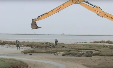 Αποκρουστικό θέαμα στον Θερμαϊκό: Η άμπωτη αποκάλυψε τον υποθαλάσσιο σκουπιδότοπο