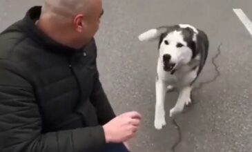 Πόλεμος στην Ουκρανία: Συγκινητική επανένωση σκύλου με τον ιδιοκτήτη του μετά από εβδομάδες