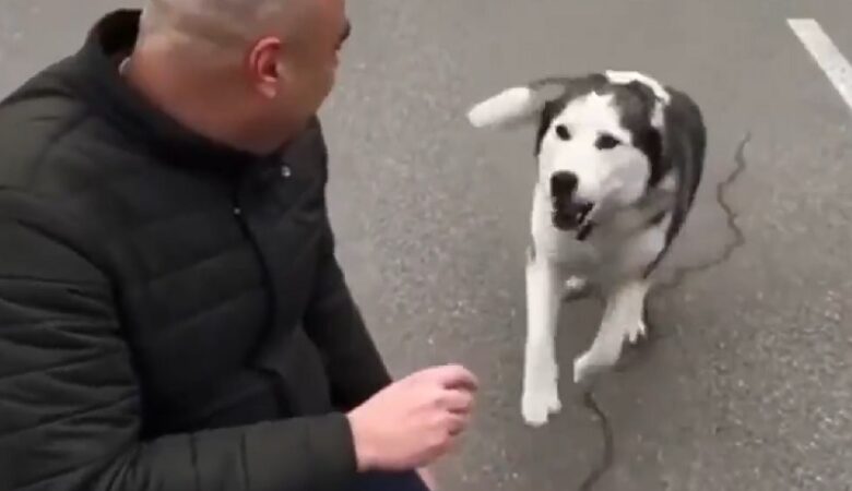 Πόλεμος στην Ουκρανία: Συγκινητική επανένωση σκύλου με τον ιδιοκτήτη του μετά από εβδομάδες