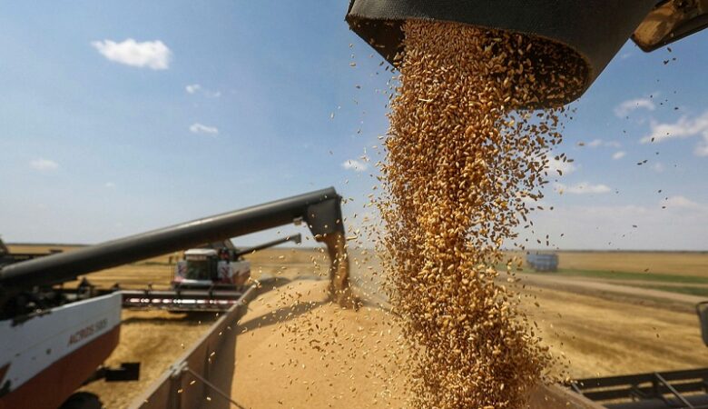 Ουκρανία: Μείωση της παραγωγής σιταριού κατά 40% αναμένεται το 2022-23