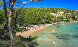Απομακρύνεται ο Λιμενάρχης Αλοννήσου – ΕΔΕ για επικίνδυνο συμβάν