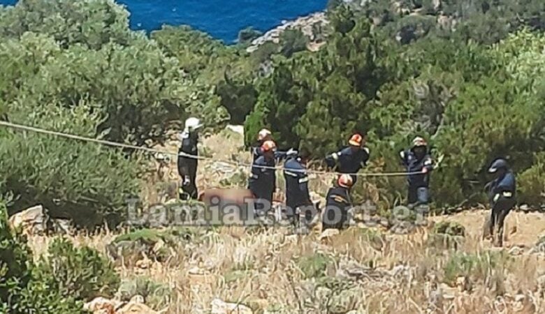 Βοιωτία: Τραγικός θάνατος χειριστή μηχανήματος – Έπεσε σε γκρεμό βάθους 100 μέτρων