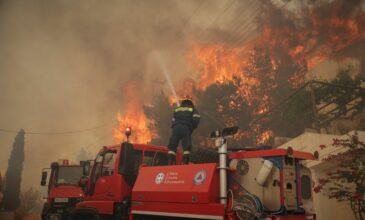 Φωτιά στο Πανόραμα Βούλας: Η απάντηση της Πυροσβεστικής στις καταγγελίες για ολιγωρία