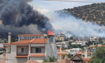 Μεγάλη φωτιά στη Λούτσα: Οριοθετήθηκε η πυρκαγιά – Παραμένουν στην περιοχή ισχυρές πυροσβεστικές δυνάμεις