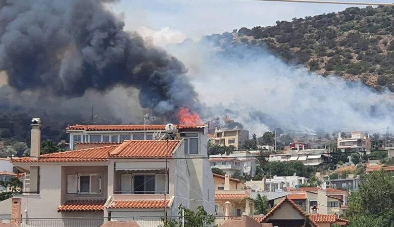 Μεγάλη φωτιά στη Λούτσα: Οριοθετήθηκε η πυρκαγιά – Παραμένουν στην περιοχή ισχυρές πυροσβεστικές δυνάμεις