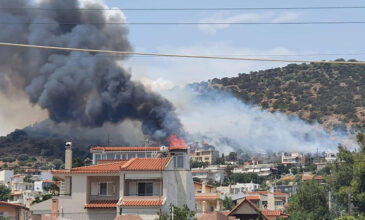 Μεγάλη φωτιά στη Λούτσα – Απειλεί κατοικημένη περιοχή