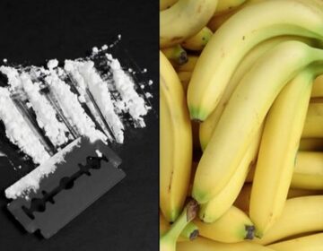 Κοντέινερ με μπανάνες από το Εκουαδόρ έκρυβε 46 κιλά κοκαΐνη